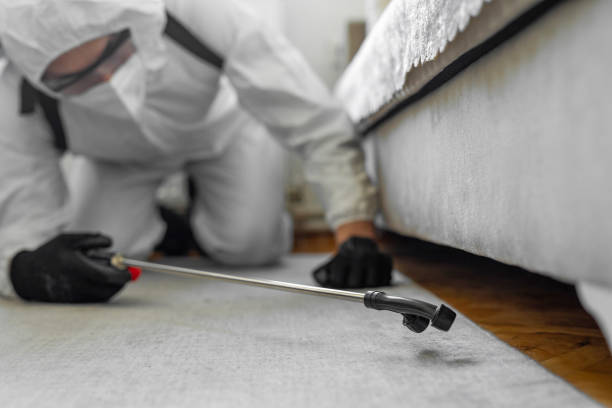 Professional Cockroach Control technician working in Faison, NC
