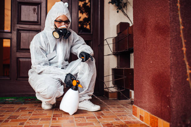 Reliable Cockroach Control contractor in Faison, NC by Nex Pest Control